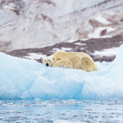 Unsere Expeditions-Kreuzfahrten