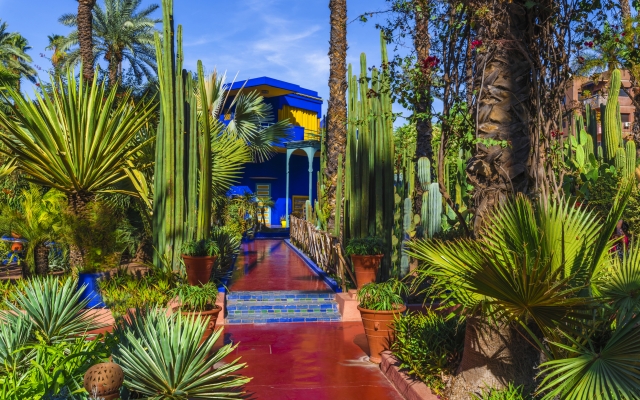 Der Majorelle Garten,erstaunlicher tropischer Garten in Marrakesch,Marokko.