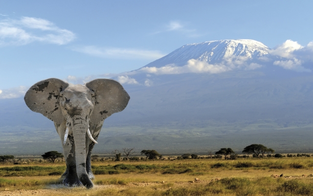 Beeindruckende Kulisse mit dem Kilimanjaro