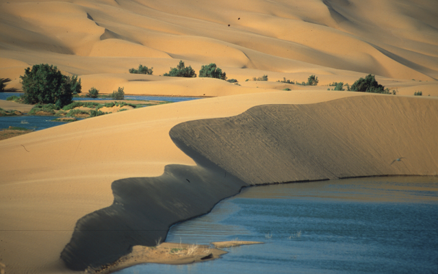 Erg Chebbi - das wohl schönste Sanddünengebiet Marokkos