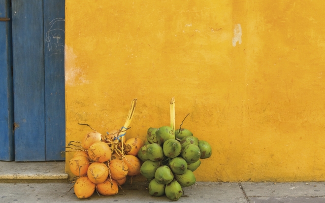 Frische Kokosnüsse in einer Straße in Cartagena