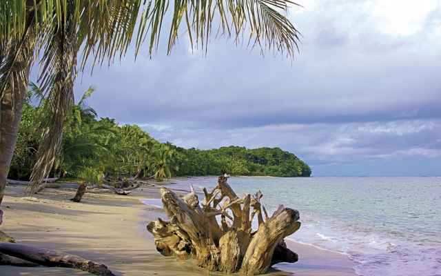 DIe Karibik-Küste Costa Ricas in der Nähe von Cahuita