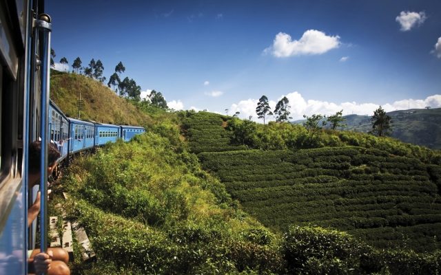 Mit dem Zug unterwegs durch Teeplantagen