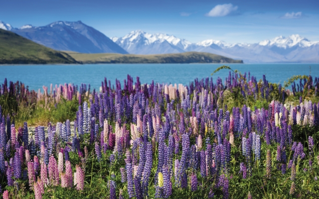 Blick auf die Südalpen Neuseelands