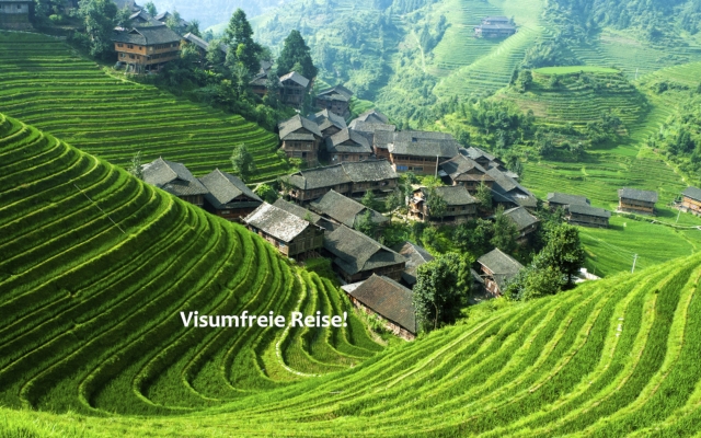 Farbenprächtige Reisfelder bei Longsheng, China