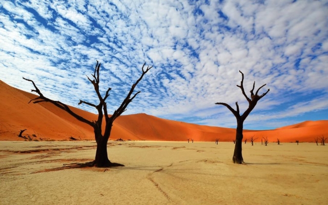 Dead Vlei in Namib desert,Namibia,Africa