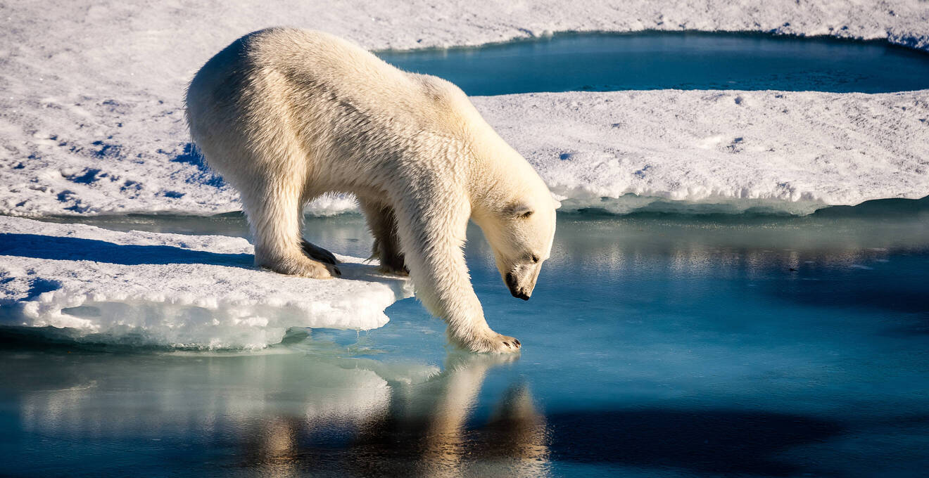 Wissenschaft und Forschung in der Arktis