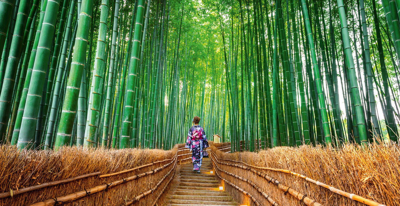 Wissenswertes über Japan Reisen