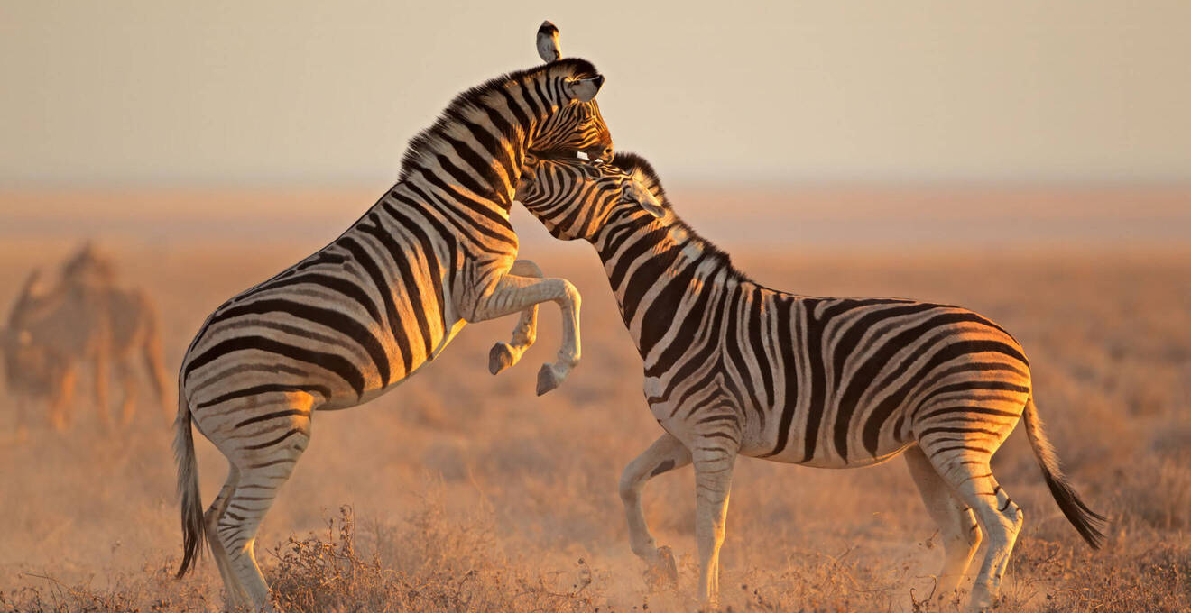 Namibia Rundreisen in kleiner Gruppe