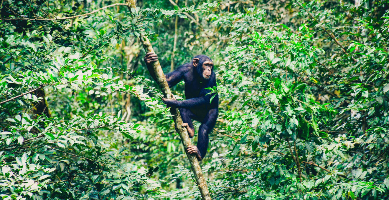Wissenswertes über Sierra Leone Reisen