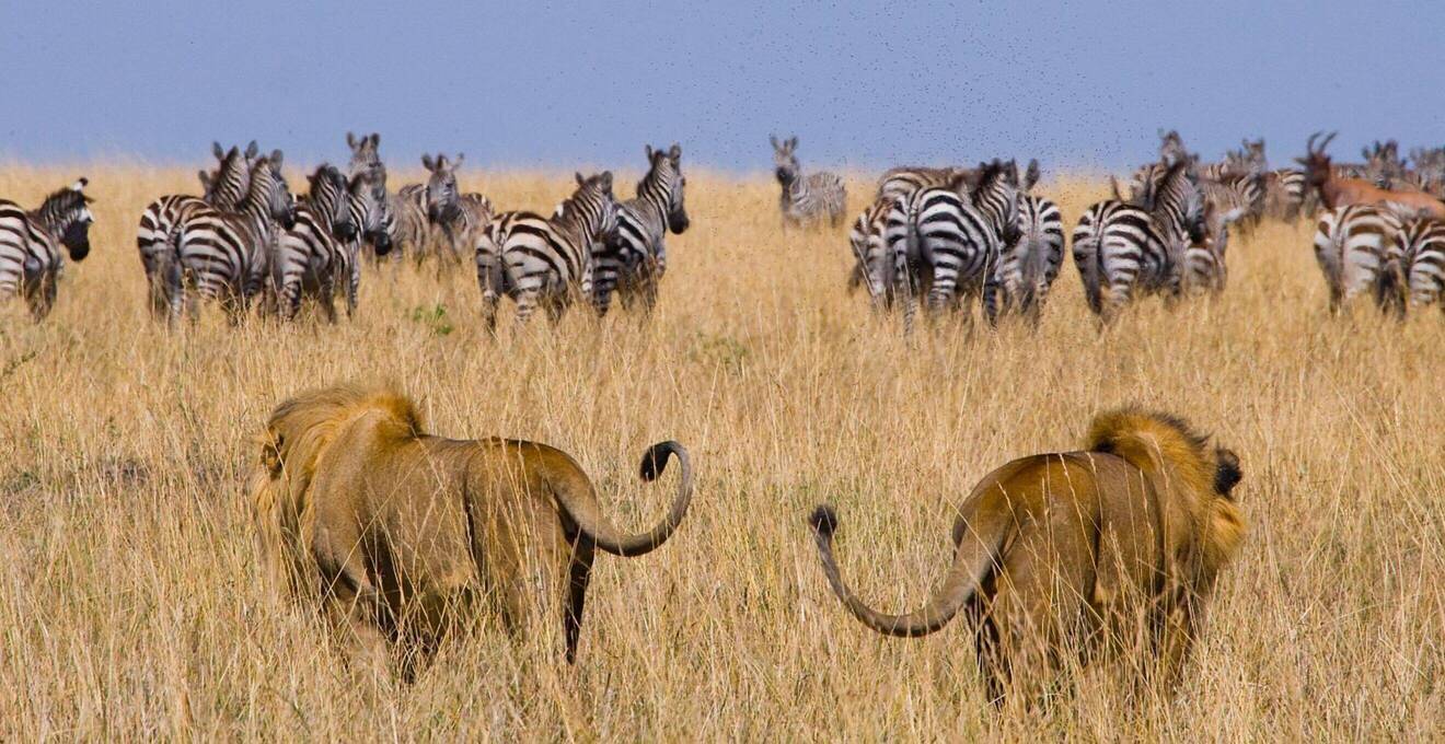 Botswana Rundreisen in kleiner Gruppe