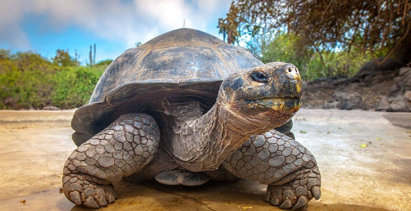 Ecuador Rundreisen in kleiner Gruppe