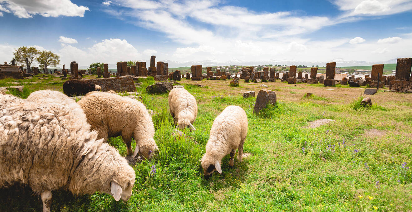 Allgemeine Reisehinweise