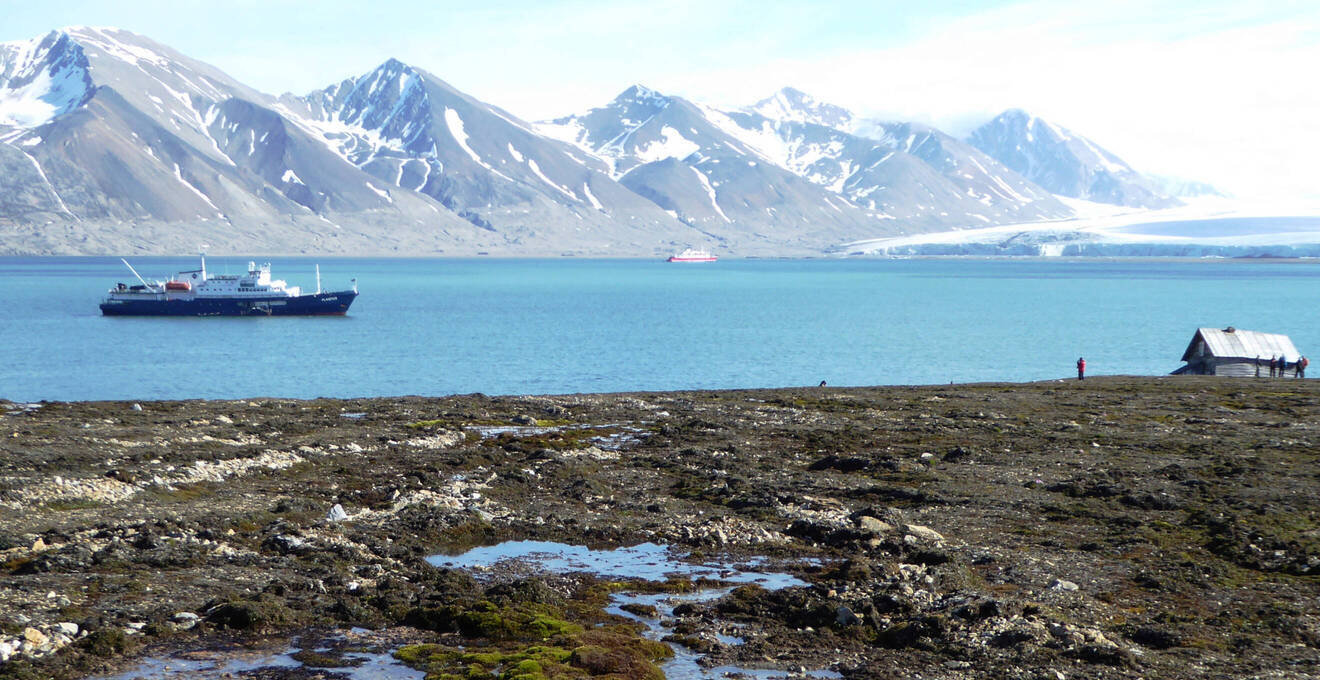 Wissenswertes über Arktis Reisen