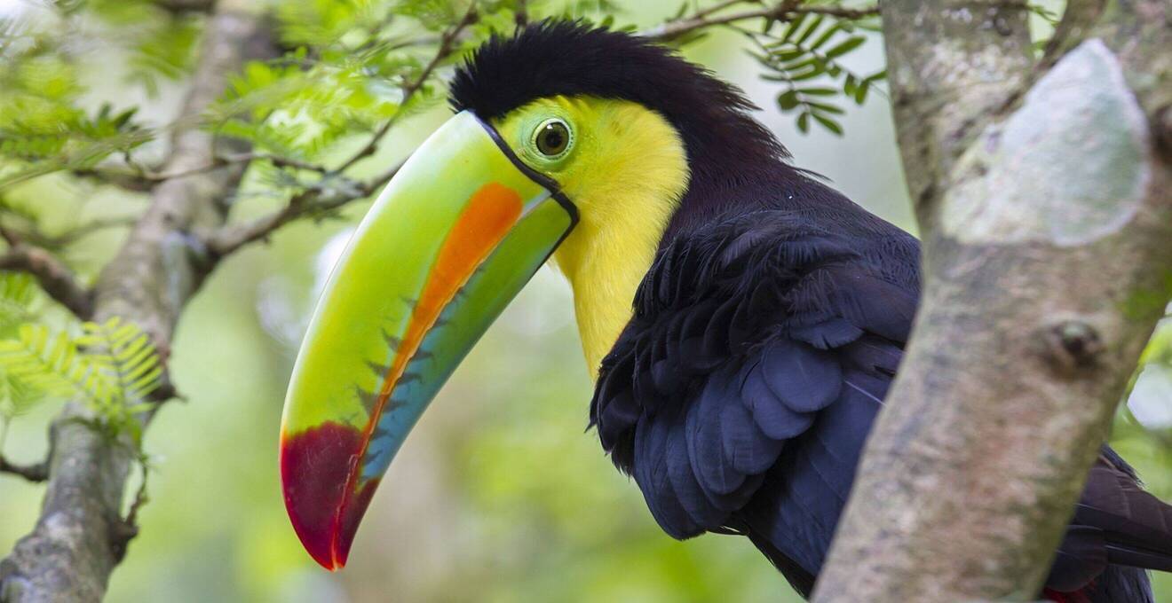 Allgemeine Reisehinweise