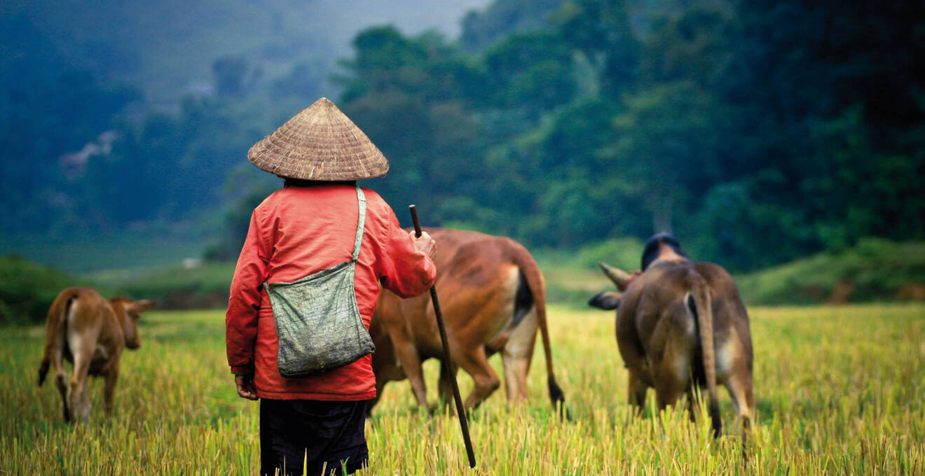 Allgemeine Reisehinweise