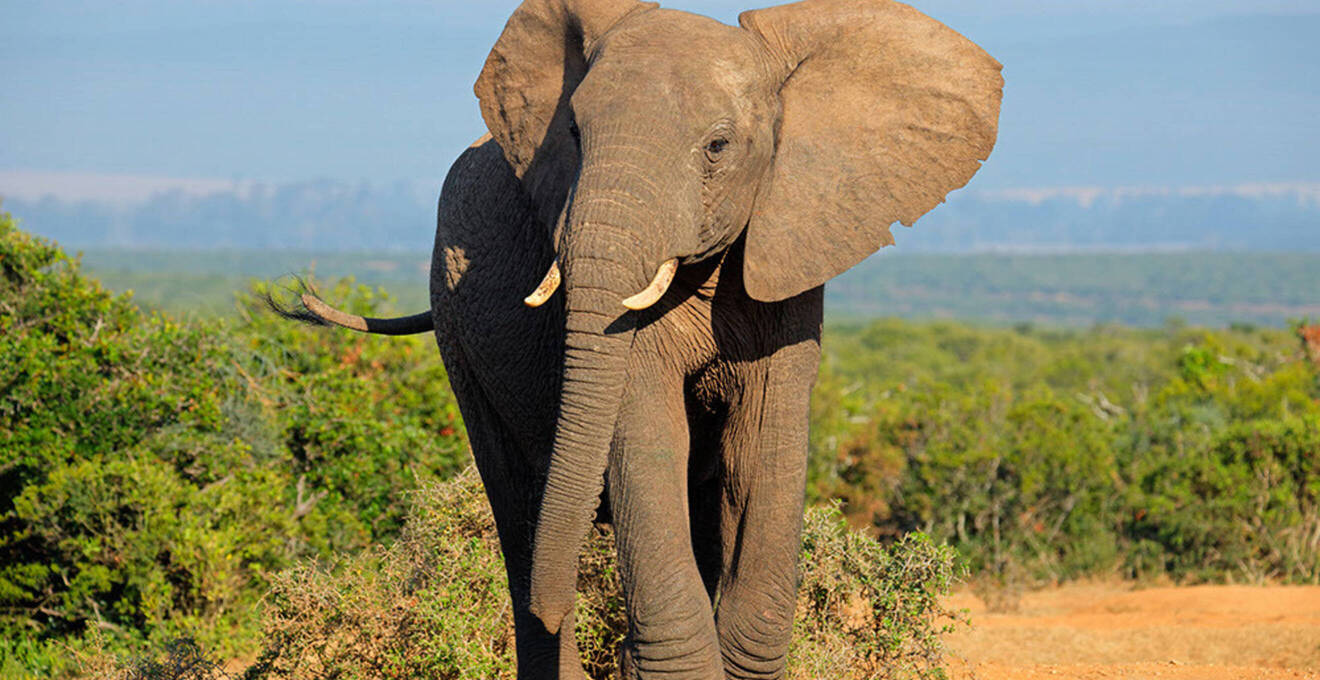 Südafrika Rundreise in kleiner Gruppe