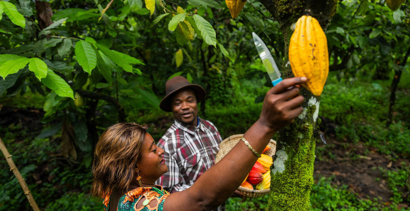 Wissenswertes über Westafrika Reisen