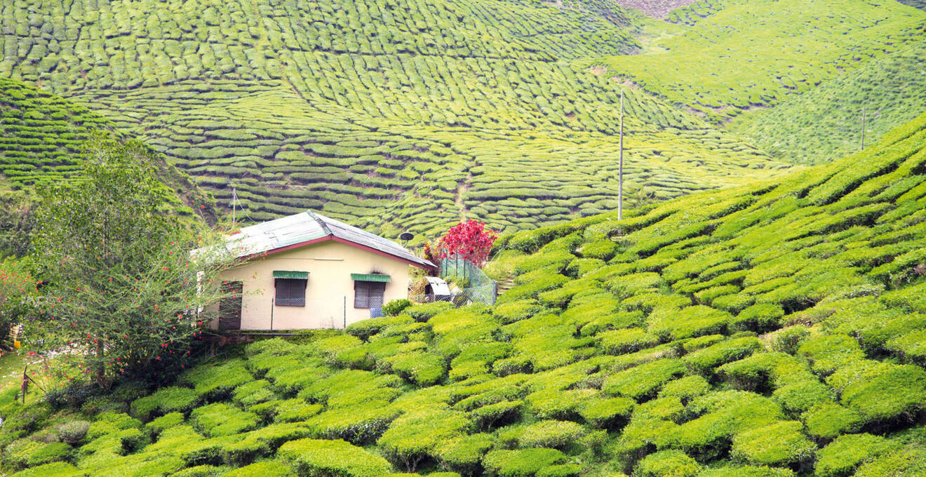 Wissenswertes über Kamerun Reisen