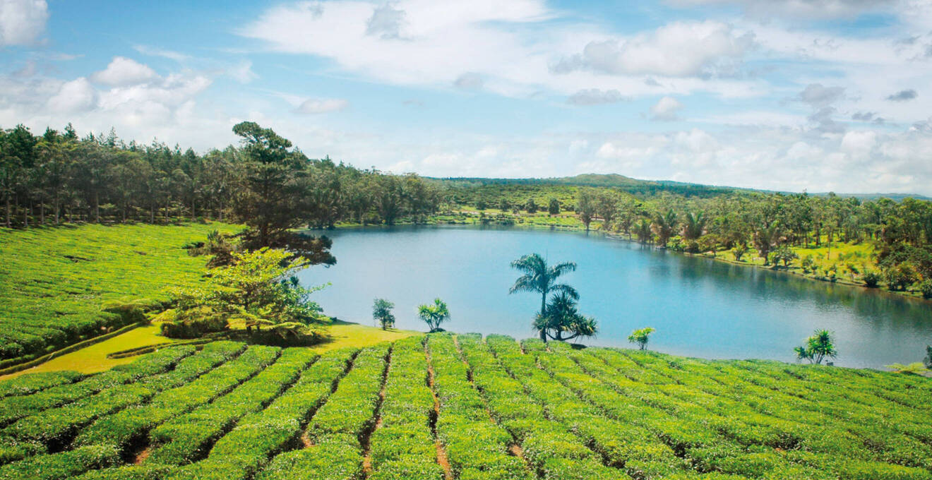 Wissenswertes über Mauritius Reisen