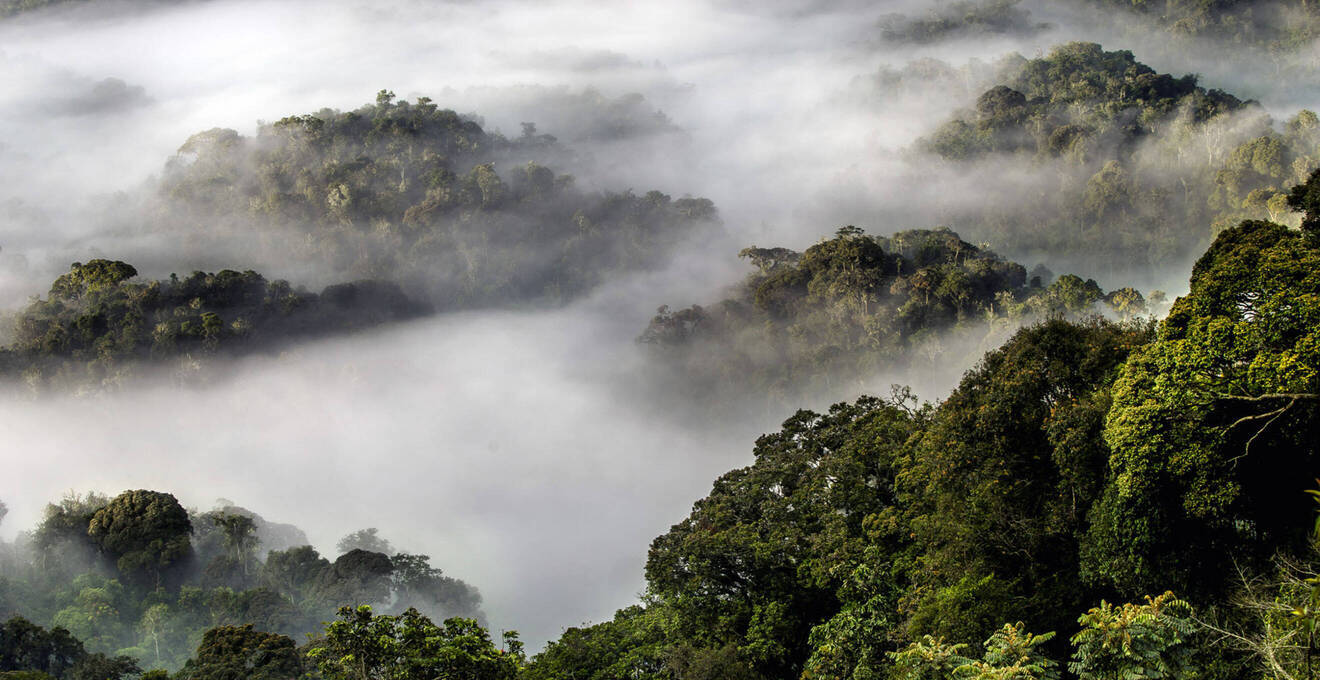 Reisehöhepunkte Ruanda