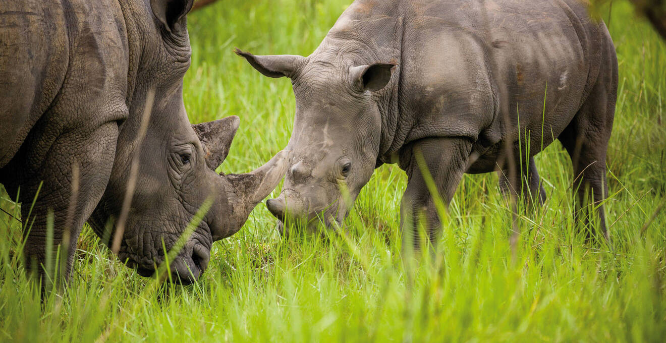 Allgemeine Reisehinweise 