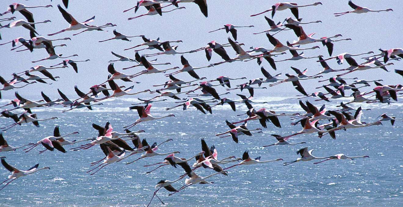 Wissenswertes über Senegal Reisen