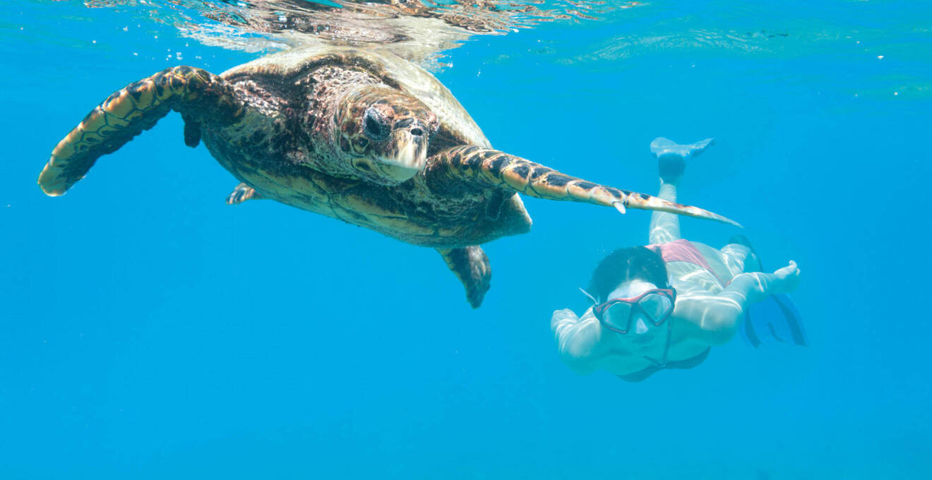 Allgemeine Reisehinweise