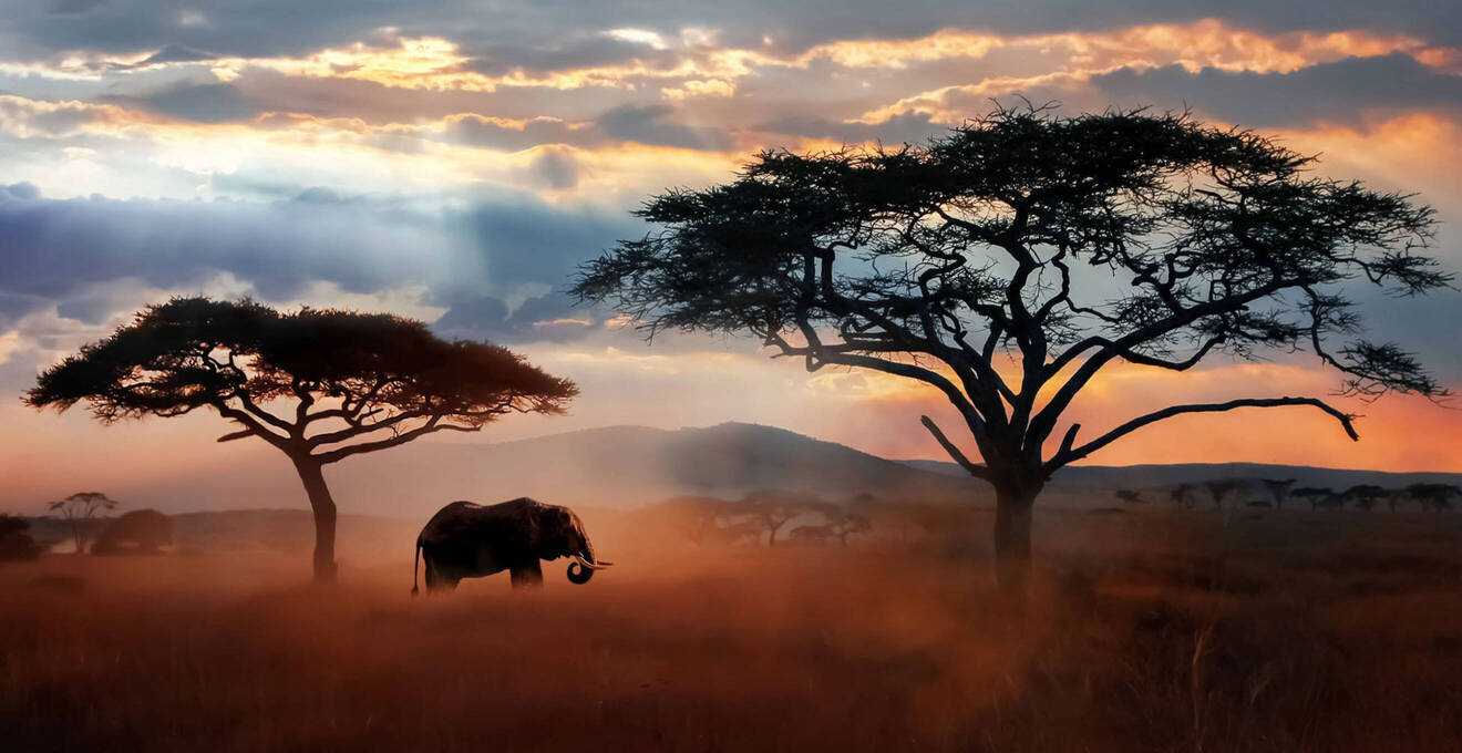 Reisehöhepunkte Tansania