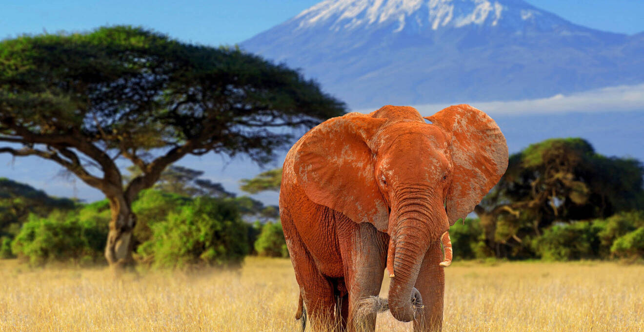 Wissenswertes über Tansania Reisen