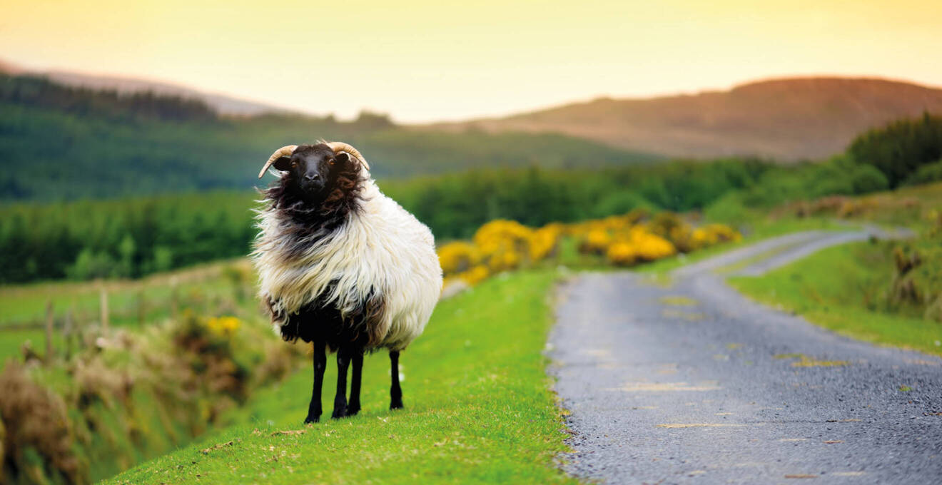 Allgemeine Reisehinweise