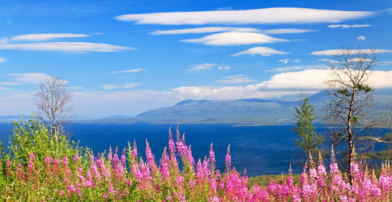Wissenswertes über Schweden Reisen