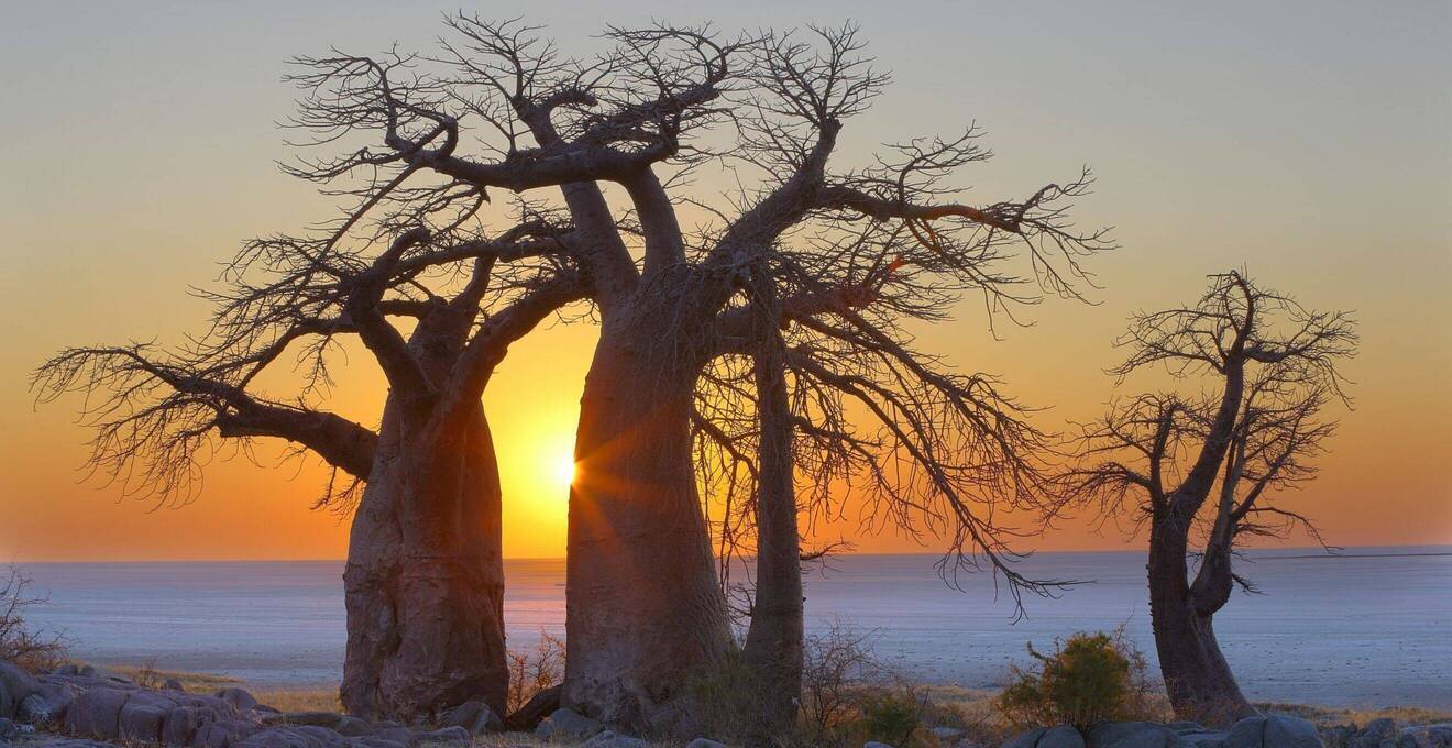 Wissenswertes über Botswana Reisen