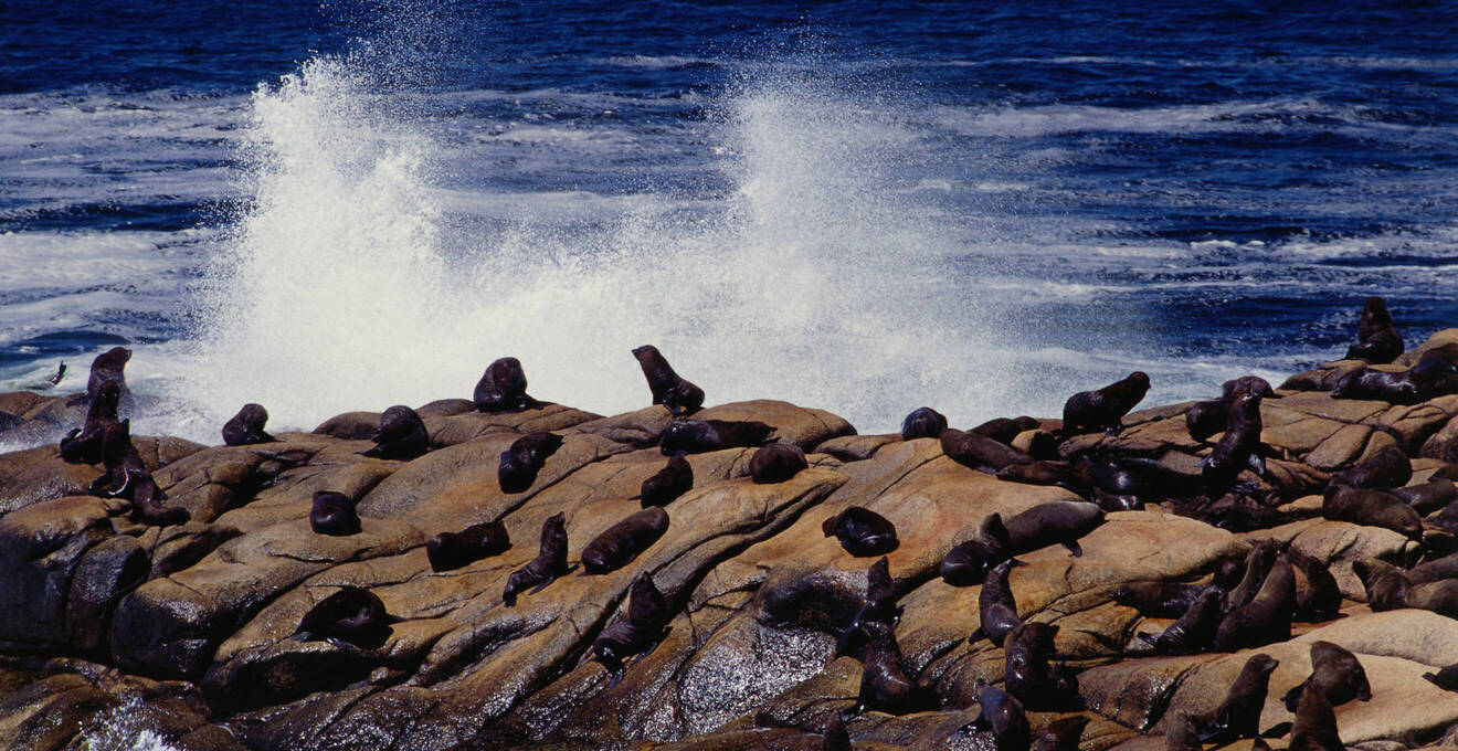 Allgemeine Reisehinweise