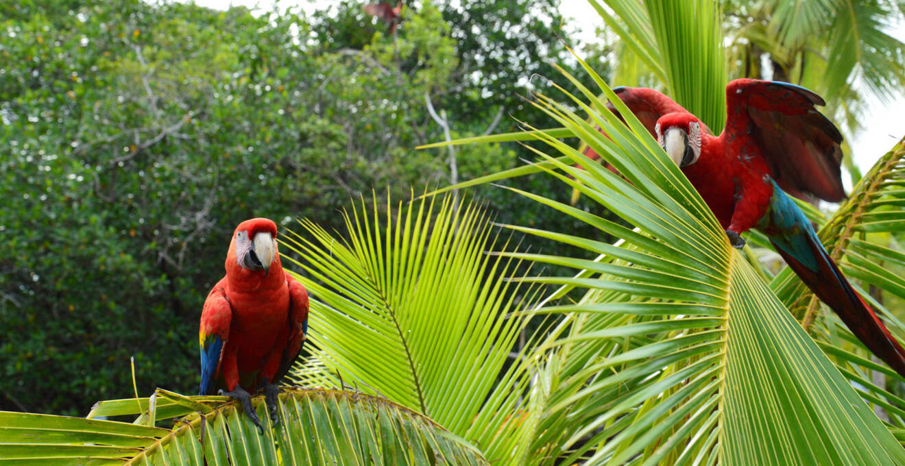 Wissenswertes über Panama Reisen