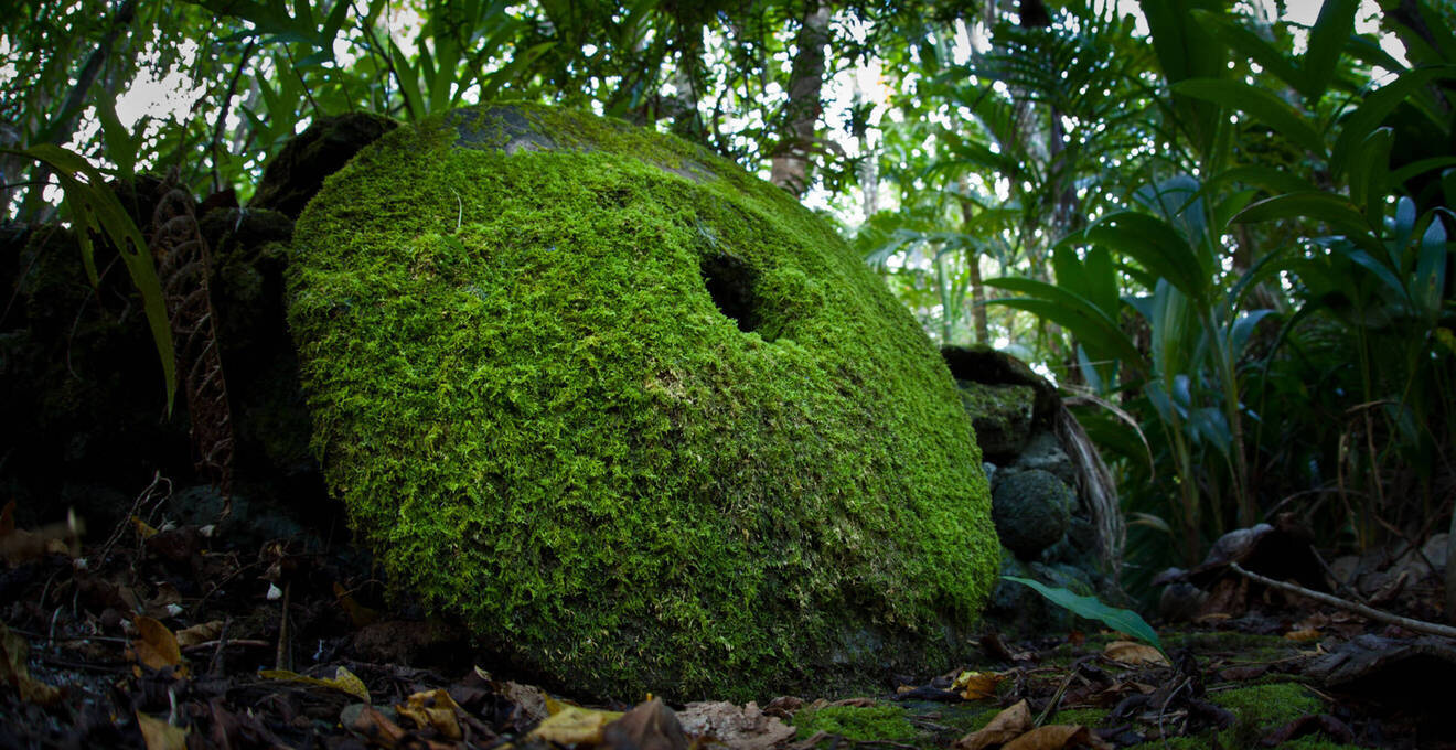 Allgemeine Reisehinweise