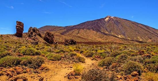 © T. Linack - stock.adobe.com