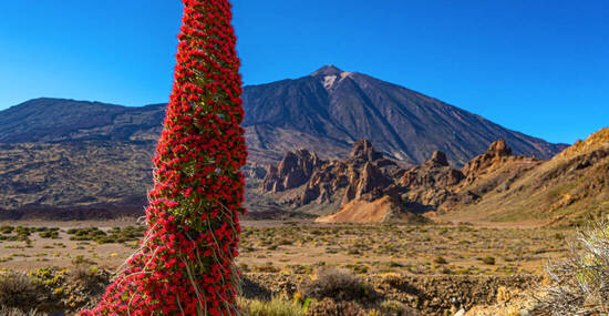 © zauberblicke - stock.adobe.com