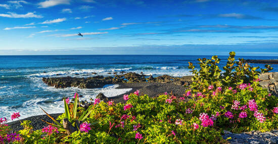 © engel.ac - stock.adobe.com