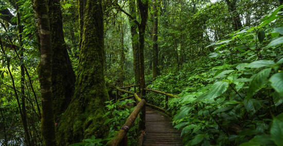 ©songdech17 - stock.adobe.com