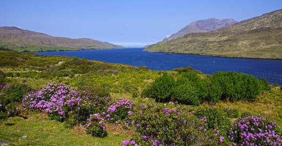 © Jürgen Hamann - stock.adobe.com