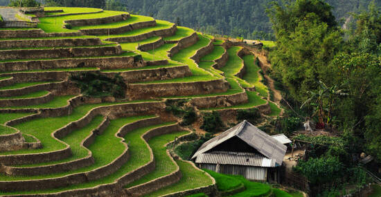 © oleksii.leonov - stock.adobe.com