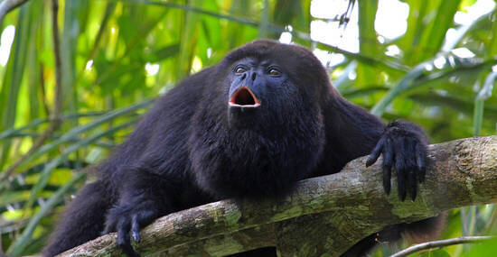 © reisegraf - stock.adobe.com