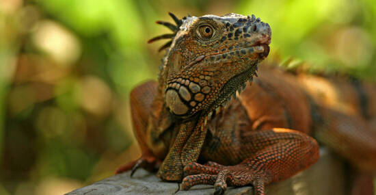 © bayazed - stock.adobe.com