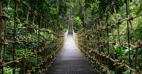 © nopporn - stock.adobe.com