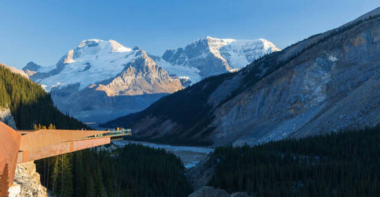 © Shawn.ccf - stock.adobe.com