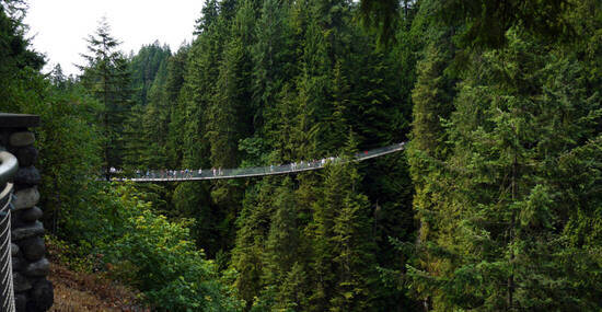 ©mhgstan - stock.adobe.com