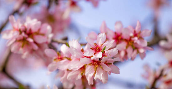 © vejaa - stock.adobe.com