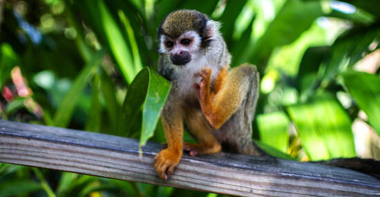 © Lukasz - stock.adobe.com