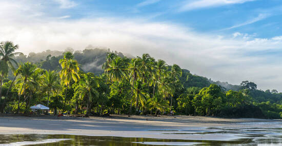 © Valerija Dmitrijeva - stock.adobe.com